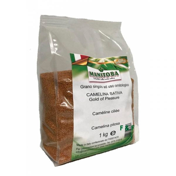 Manitoba Camelina Sativa 1 kg