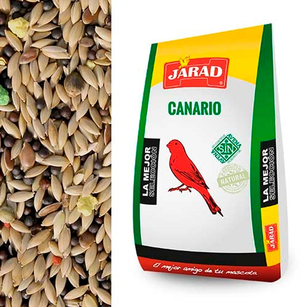 Jarad Canario Standar Sin Avena 1 kg (Granel)